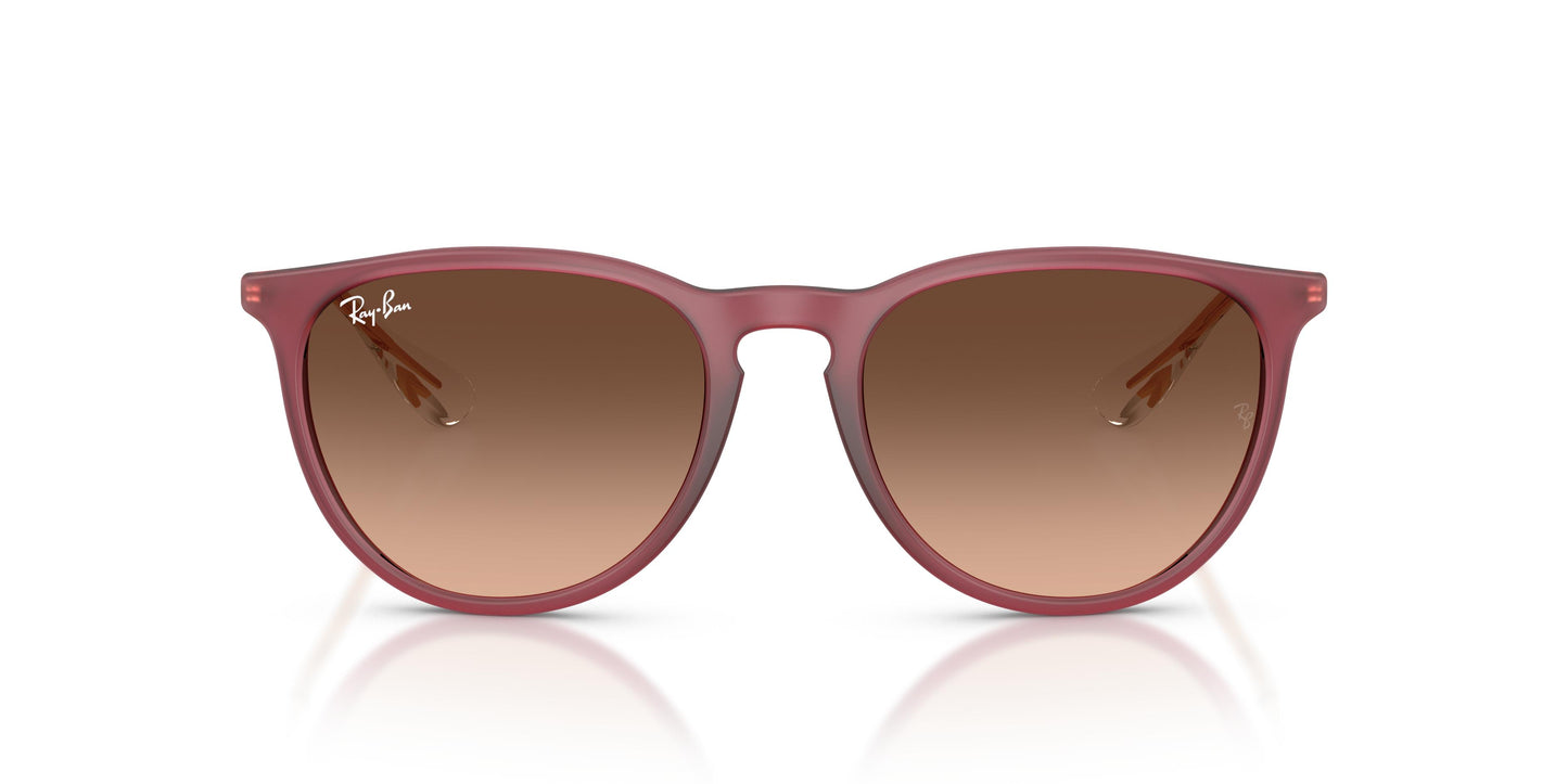 Ray-Ban RB4171 ERIKA 6815A5 54