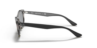 Ray-Ban RB4314N NINA 1250Y5 54