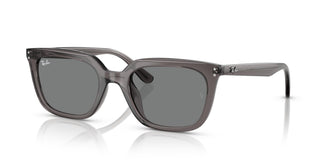 Ray-Ban RB4439D 667587 54