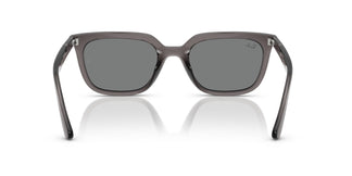 Ray-Ban RB4439D 667587 54