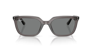 Ray-Ban RB4439D 667587 54
