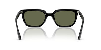 Ray-Ban RB4439D 901/9A 54