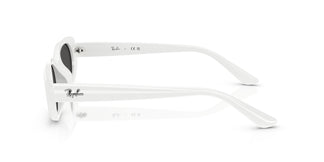 Ray-Ban RB4441D 677287 53
