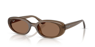 Ray-Ban RB4441D 677973 53