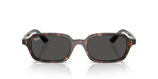 Ray-Ban RB4455 ZURI 135987 49