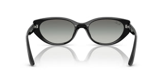 Ray-Ban RB4457D 667711 55