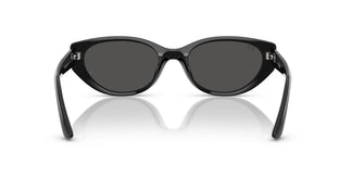Ray-Ban RB4457D 667787 55