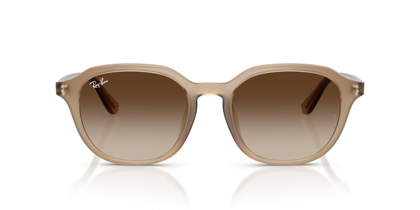 Ray-Ban RB4459D 616613 54