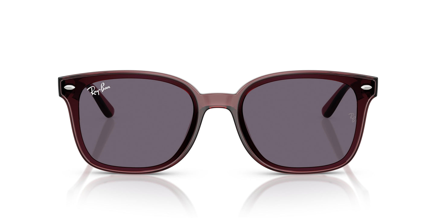 Ray-Ban RB4461D 659373 64