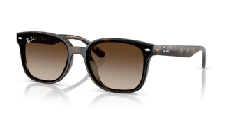 Ray-Ban RB4461D 710/13 64