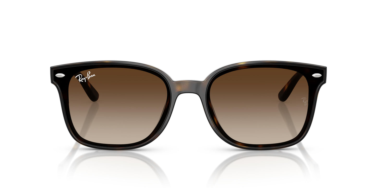 Ray-Ban RB4461D 710/13 64
