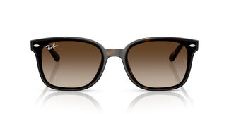 Ray-Ban RB4461D 710/13 64