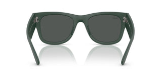 Ray-Ban RB4840S 665787 50