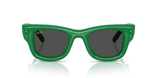 Ray-Ban RB4940 WAYFARER PUFFER 683487 47
