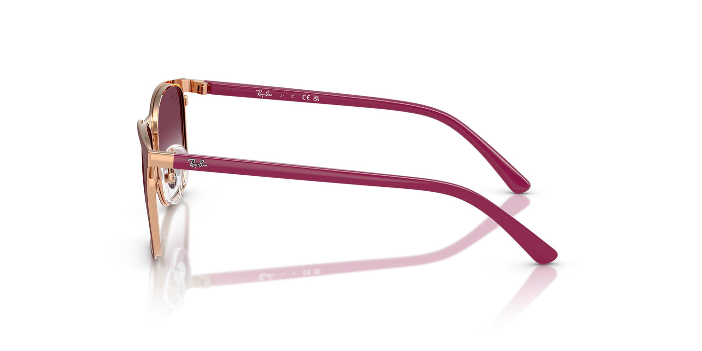 Ray-Ban Kids RJ9551S 296/8H 48