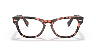 Ray-Ban RX2201V LARAMIE 8118 54
