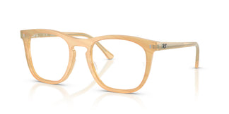 Ray-Ban RX2210V 8383 53