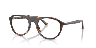 Ray-Ban RX5441 2012 53
