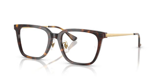 Ray-Ban RX5442D 2012 52