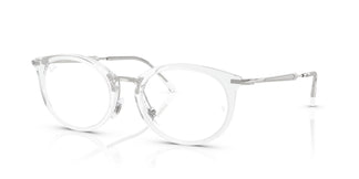 Ray-Ban RX7255 2001 53