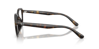 Ray-Ban RX7259D 2012 52