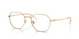 Ray-Ban RX8777D 1248 53