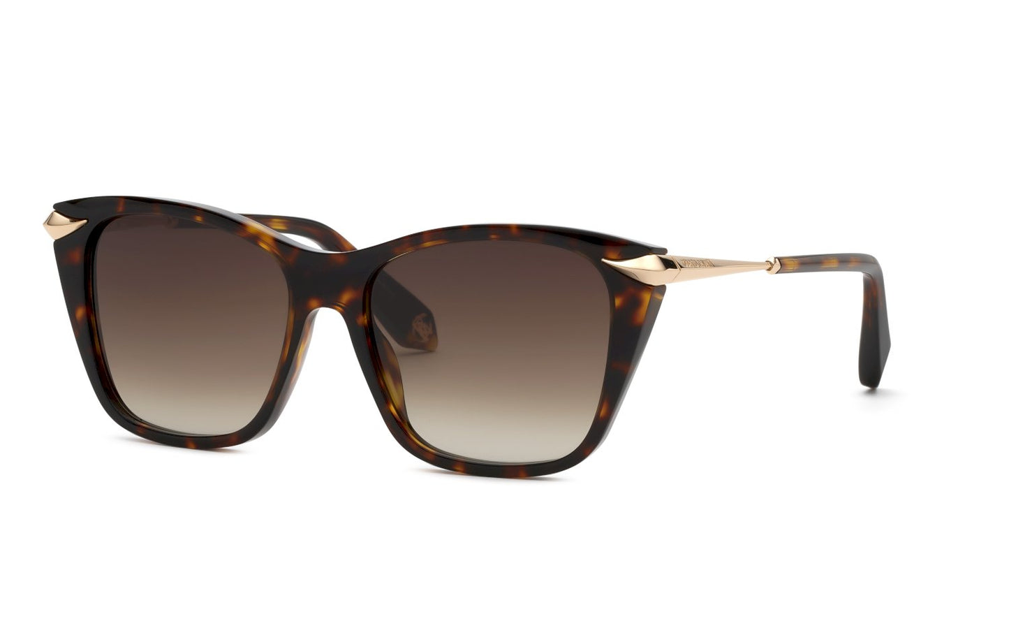 Roberto Cavalli SRC150 01AY 55