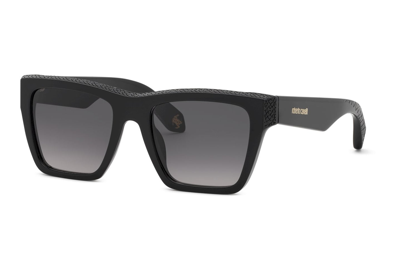 Roberto Cavalli SRC155M 0700 54