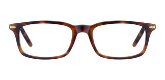 Serengeti CLINT SV615002 55