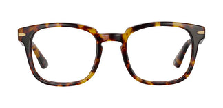 Serengeti NORMAN SV590002 52