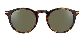 Serengeti RAFFAELE 8950 48