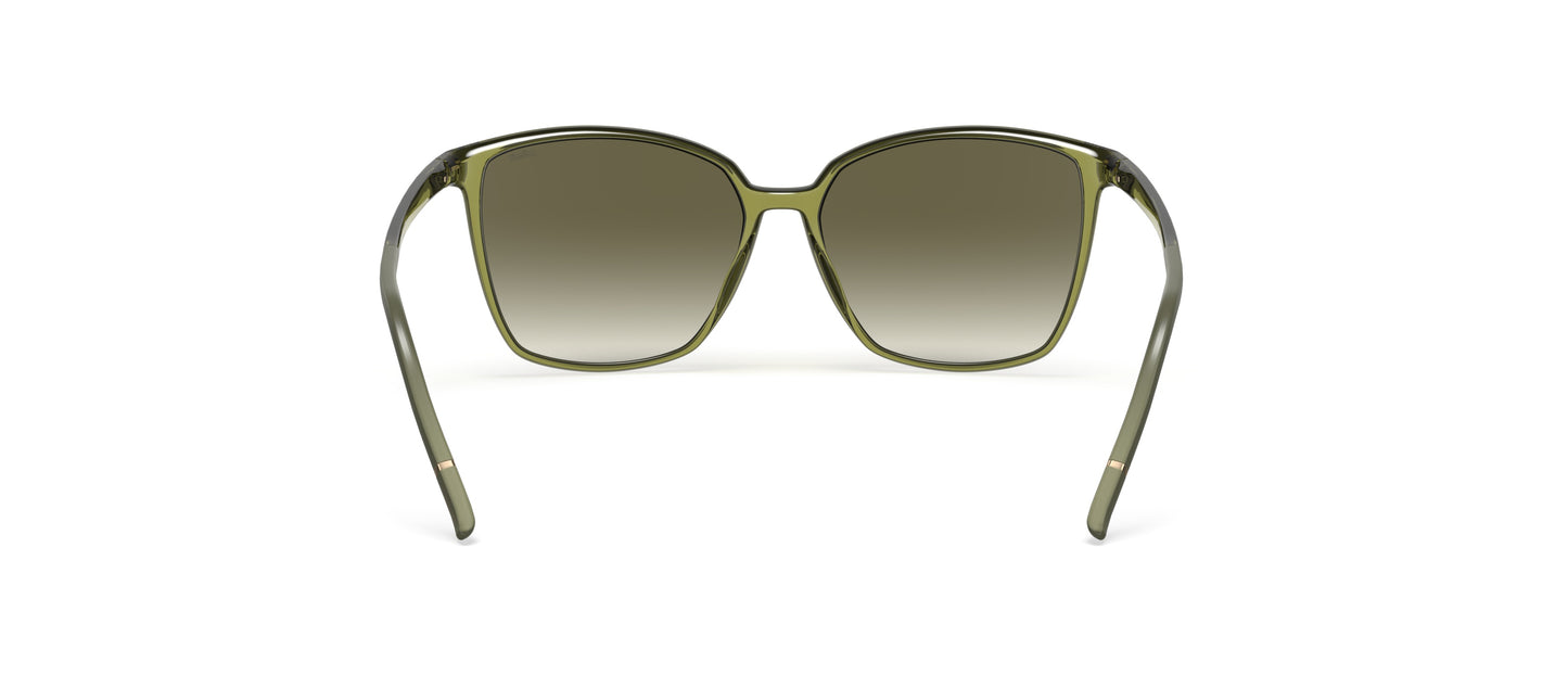 Silhouette Juniper Fullrim 3196 5530 55