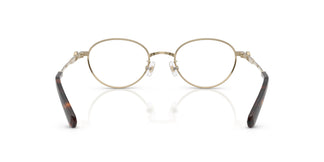 Swarovski SK1028TD 4013 47