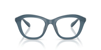 Swarovski SK2042U 1035 48