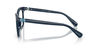 Swarovski SK2043 1004 49