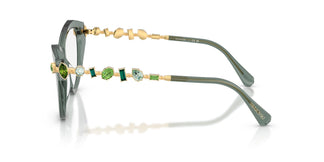 Swarovski SK2047 1043 55