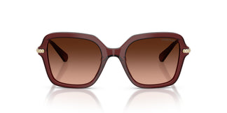 Swarovski SK6040 10735M 50