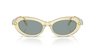 Swarovski SK6042 1080/1 53