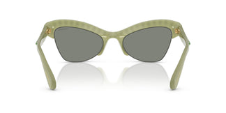 Swarovski SK6043 10746R 55