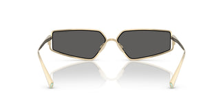 Tiffany TF3113KB 6220S4 60