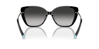 Tiffany TF4190 80013C 57