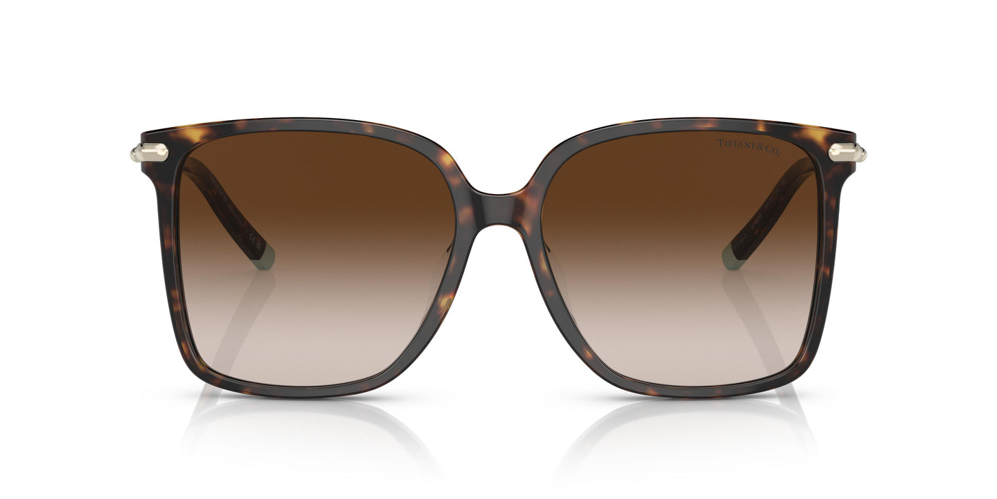 Tiffany TF4194D 80153B 58