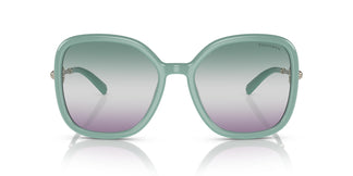 Tiffany TF4202U 8379EL 57
