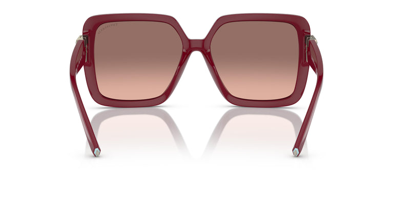 Tiffany TF4206U 836613 58