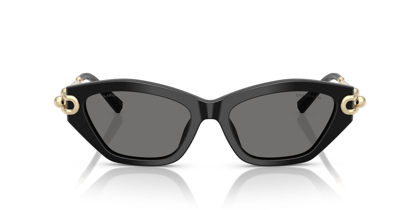 Tiffany TF4231U 800181 53