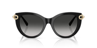 Tiffany TF4232 80013C 53