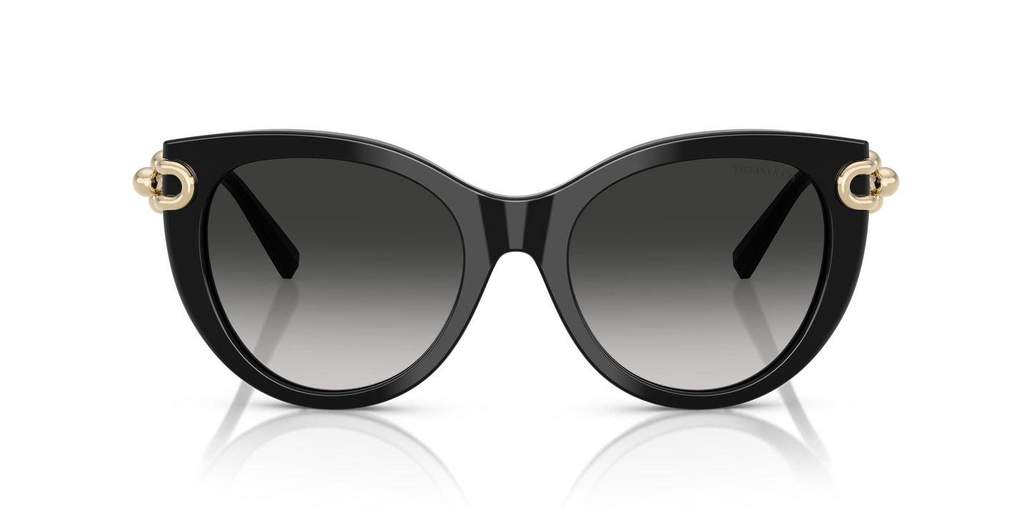 Tiffany TF4232 80013C 53