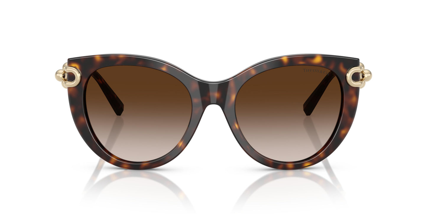 Tiffany TF4232 80153B 53