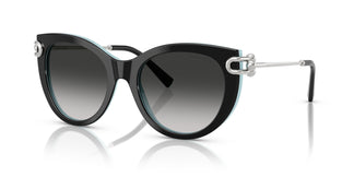 Tiffany TF4232 80553C 53