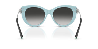 Tiffany TF4232 80553C 53